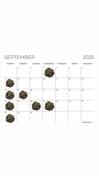 🪸KARERA新松 戸田中萌恵子🪸のヘアスタイル