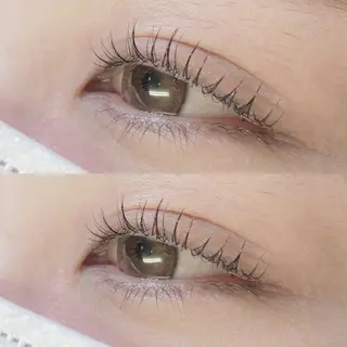 マツエク・マツパ リフュージュ　隠れ家所属・リフュージュ🌷 カホのマツエク・マツパデザイン