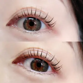 マツエク・マツパ まつげパーマ専門店 シャルナ　上野店のマツエク・マツパデザイン