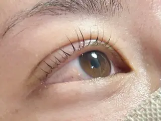 マツエク・マツパ B-forest所属・B-forest 🎀juriのマツエク・マツパデザイン