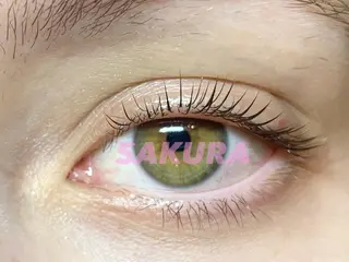 マツエク・マツパ まつ毛エクステ&HIFU専門店 SAKURA【サクラ】心斎橋店所属・SAKURA心斎橋 ヒロコのマツエク・マツパデザイン