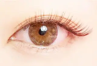 マツエク・マツパ lovecurl 三軒茶屋のマツエク・マツパデザイン