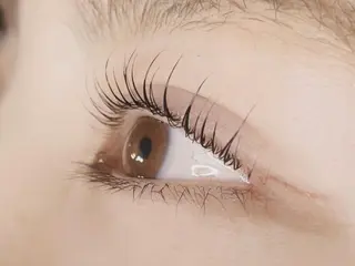 マツエク・マツパ 《eyelash ｉｉｔｅ》森のマツエク・マツパデザイン