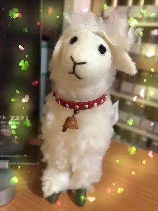 岩井 秋子のエステ・リラクイメージ