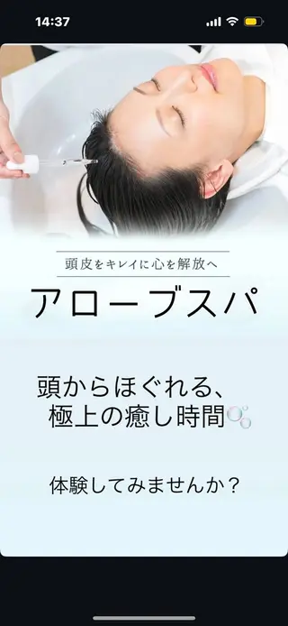 佐藤 壮也のヘアスタイル
