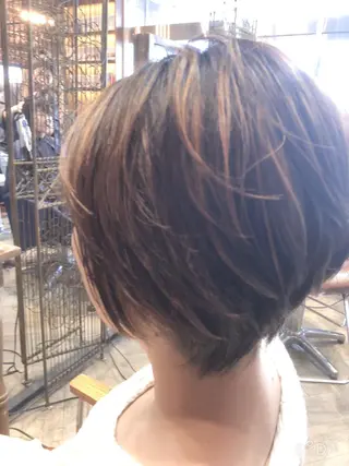 ショート 藤木 雅俊のヘアスタイル