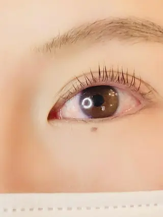 マツエク・マツパ y"salon Lilyのマツエク・マツパデザイン