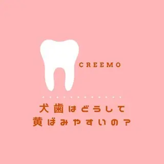 歯のホワイトニング HARU南浦和のその他イメージ