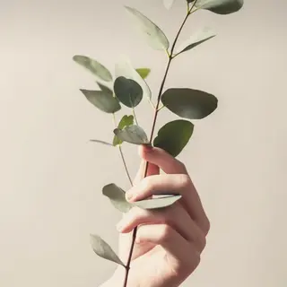 ネイル nicolenail /emureのネイルデザイン