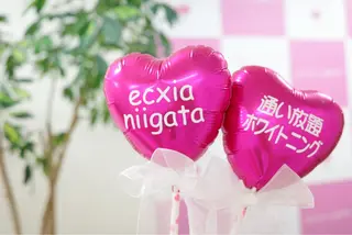 セルフホワイトニング エクシア新潟所属・セルフホワイトニング エクシア新潟のその他イメージ