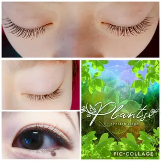 マツエク・マツパ Plants　斧田 ひろみのマツエク・マツパデザイン