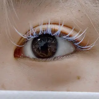 マツエク・マツパ ✧elpatio✧︎ 小出紗羅のマツエク・マツパデザイン