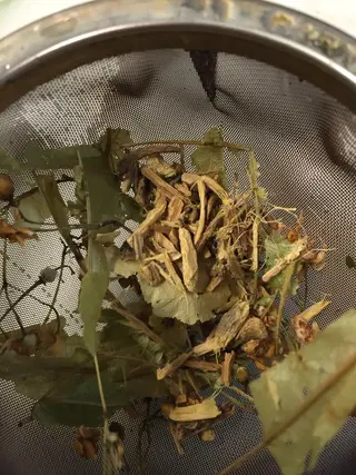 田畑 福恵のヘアスタイル