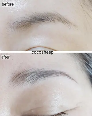 アイブロウ Coco Sheep のその他イメージ