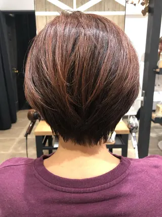 ショート 井上 舞のヘアスタイル