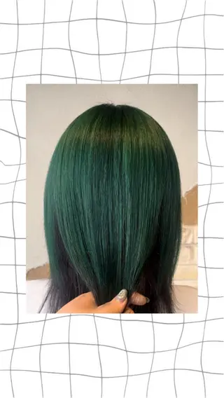 セミロング カラー arisa/ tj tenkiyohouのヘアスタイル