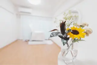 salon de osio所属・Nakagawa 吉祥寺まつげのマツエク・マツパデザイン