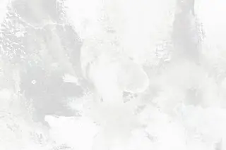 小顔カット/透明感 カラー/美髪矯正🫧のヘアスタイル