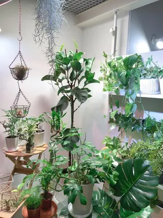 Relaxation 【YuRu】のエステ・リラクイメージ