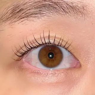 マツエク・マツパ ai一重専門🎀束感 まつげ🫧表参道のマツエク・マツパデザイン