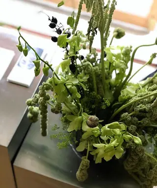 ネイル oak nail所属・óæk nailのネイルデザイン