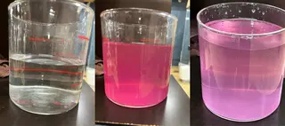 ✨デトックス職人✨ トーヒラボのヘアスタイル