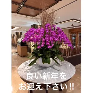 マツエク・マツパ リナ アメ村のマツエク・マツパデザイン