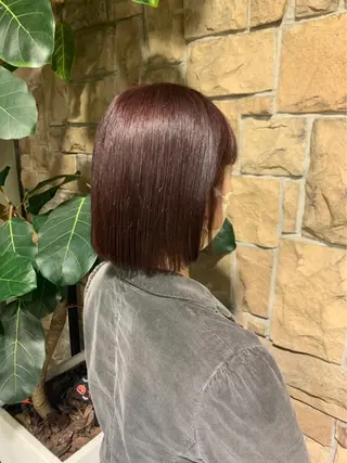 ショート 🎀レイヤー/ カラー🐕‍🦺anのヘアスタイル