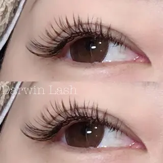 マツエク・マツパ まつげと眉毛のお店Sakura Lash【サクララッシュ】所属・【ダメージケア特化】 🌸 サクララッシュの眉毛・アイブロウイメージ