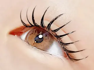 マツエク・マツパ eight eyelash池袋店のマツエク・マツパデザイン