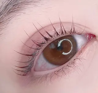 マツエク・マツパ Eyelash Salon Blanc～まつげエクステと眉の専門美容室～ 舞浜 イクスピアリ店所属・🍓blanc 川野咲紀🍓のマツエク・マツパデザイン