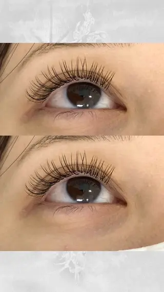 マツエク・マツパ EYELA mashiro🐚のマツエク・マツパデザイン