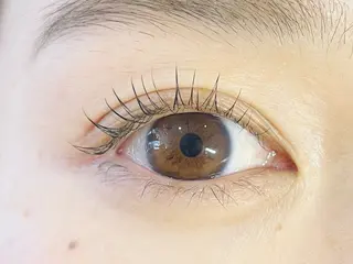 マツエク・マツパ 中村彩香 (エフドゥ)のマツエク・マツパデザイン