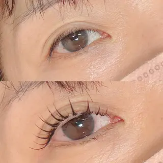 ใใใจใฏใปใใใ ๐๐ผ๐๐๐ ๐๐ธ๐โใฎใใใจใฏใปใใใใใถใคใณ