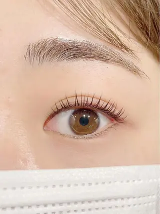 マツエク・マツパ 店長💎 ハラダの眉毛・アイブロウイメージ