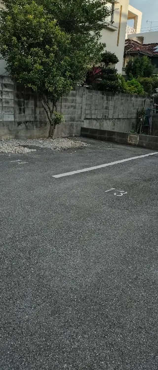 大城 智美のヘアスタイル