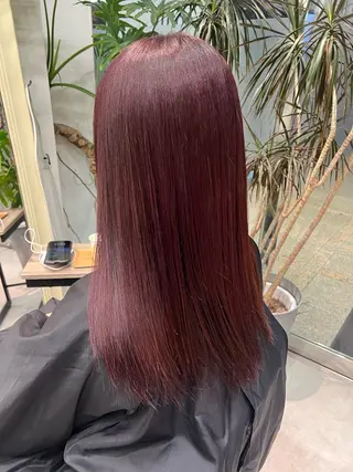 カラー 晶／艶髪カラー ／トリートメントのヘアスタイル