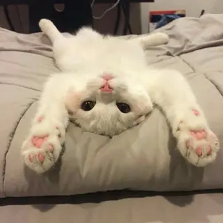 MARINO成田店 misakiのマツエク・マツパデザイン