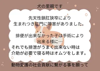 プライベートサロン ドロシーのエステ・リラクイメージ