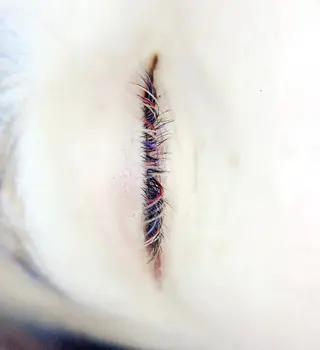 マツエク・マツパ un par un アンパルアン所属・un par unの眉毛・アイブロウイメージ