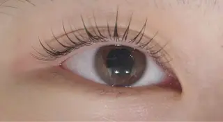 マツエク・マツパ EyeLash Salon Froh 大和店所属・Eyelash / YUZU🫧🌷のマツエク・マツパデザイン