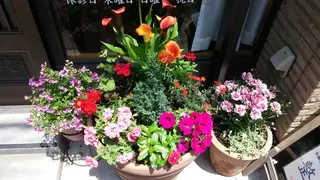 篠木 整骨院のエステ・リラクイメージ