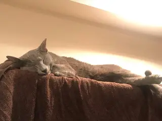 ショート カラー パーマ ヘアアレンジ メンズ キッズ ネイル マツエク・マツパ アニメ,Vオタク× 即効痩せエステサロンのエステ・リラクイメージ