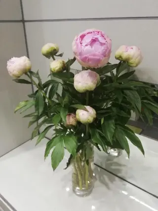 angelux 所属・完全個室サロン🌹 angelux🌹のマツエク・マツパデザイン