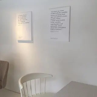 マツエク・マツパ meets 青山のマツエク・マツパデザイン