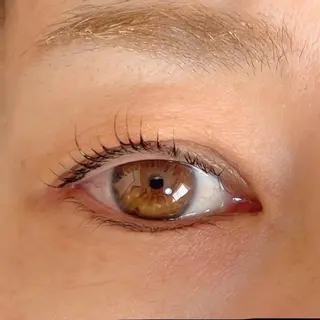 マツエク・マツパ 内田 恵美のマツエク・マツパデザイン