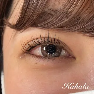 マツエク・マツパ Fujimoto 🦭⸝⋆꙳のマツエク・マツパデザイン