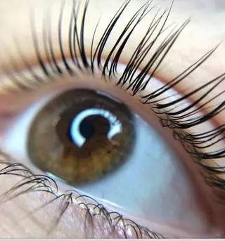 パーマ マツエク・マツパ ty eyelashのマツエク・マツパデザイン