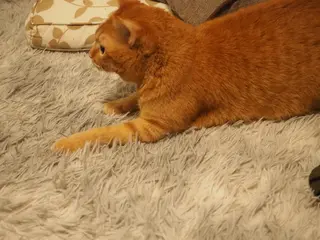 ネイル kiki nail 二子玉川のネイルデザイン