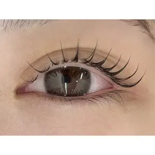 マツエク・マツパ アイブロウ専門サロン　エサージュ　川崎店所属・マツエクモデル様 募集中🎀katoのマツエク・マツパデザイン